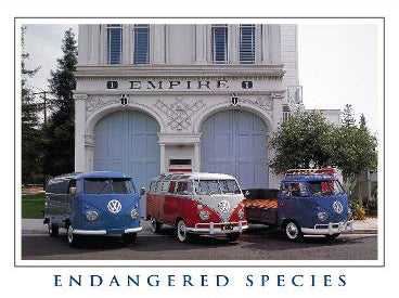 Endangered Species 18×20 Poster / Bus Images